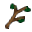 Bio 5